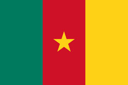 Flag of Cameroon