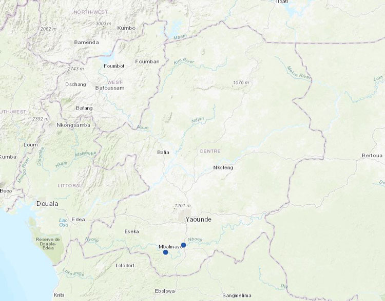 Updated stations in Cameroon.